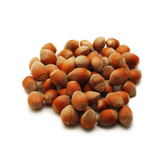 hazelnuts isolated