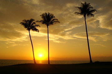 Naklejka na ściany i meble Sonnenuntergang Hawaii