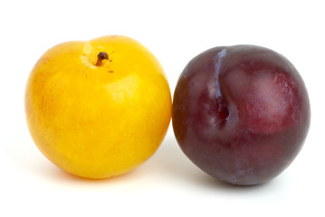 Fototapeta na wymiar Yellow and violet plums