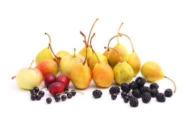 Cultivated fruits on white