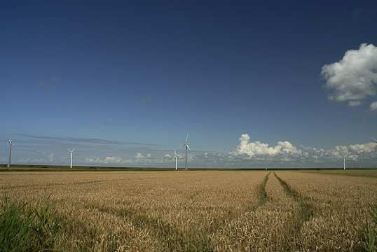 weites Land 3