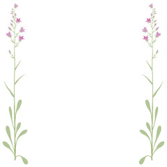 campanula © robodread