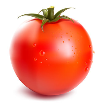 ripe fresh tomato with water drops
