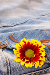 flower on the jeans