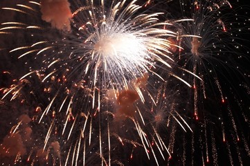Firework in honor of Independence Day