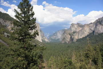 vue panoramique de la vallée du parc national de Yosémite