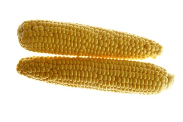 Corn cobs in yellow color