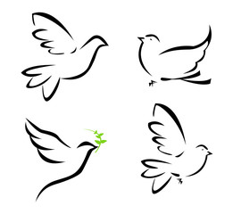 Vector illustration of flying dove