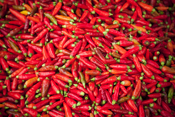 Naklejka premium piments rouges