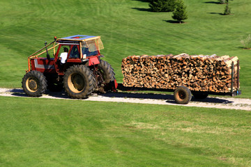 Livraison de bois_2