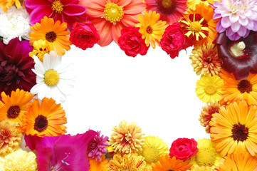 Framework from flowers with petals of various colours