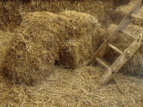 grange &agrave; foin