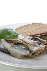 some sprats and bread on a white plate