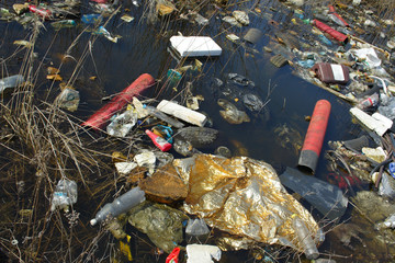 littered river