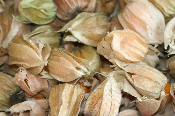 Fresh Gooseberries