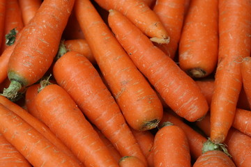 Fresh carrots at a market