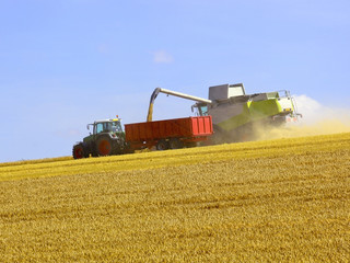 Obraz premium wolds harvesting
