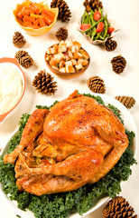 Holiday Turkey