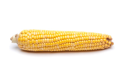 Corns