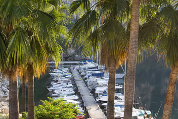 Yachten in Monaco
