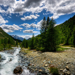 Obraz premium Torrente