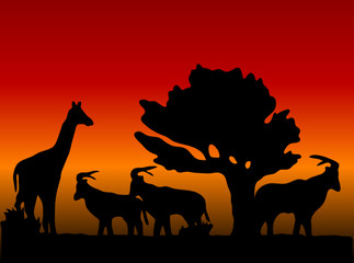 Sunset in safari - vector illustration