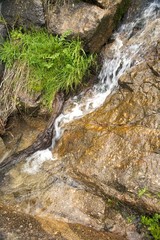 small stream on the rocks