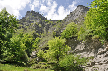 Desfiladero del Nervion