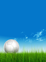 High resolution 3D white soccer ball on green grass