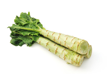 stem lettuce isolated on white background