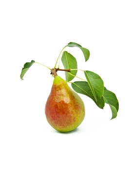 Ripe bright pear with leaves on a white background