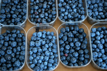 Blaubeeren in Schalen