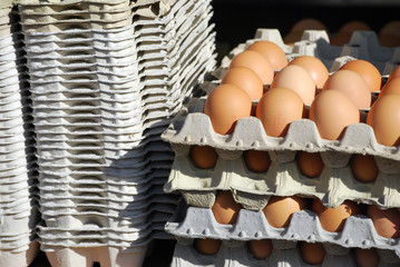 Eier und Eierkartons
