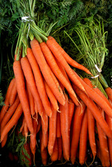 Karotten im Bund
