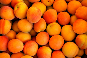 Jede Menge Nektarinen