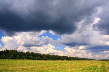 Summer landscape before storm.
