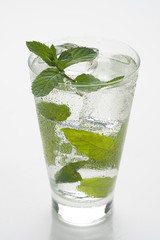 mojito cool cuban cocktail ice lime mint