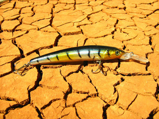colorful fishing bait rests crannied earth