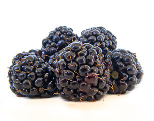 Juicy Blackberries