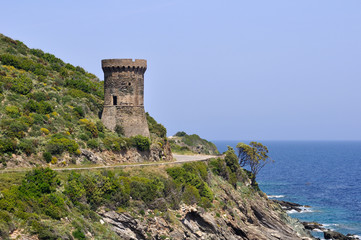 tour génoise,corse