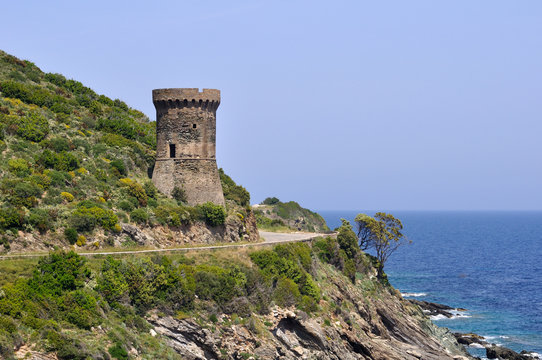 tour g&eacute;noise,corse