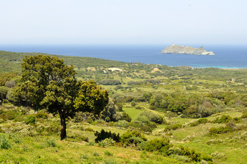 Barcaggio,corse