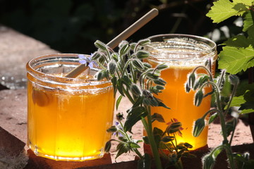 pot de miel et fleurs de bourrache