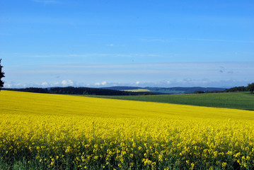 Obraz premium Felder und Wiesen