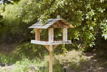 bird house
