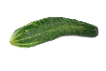 cucumber