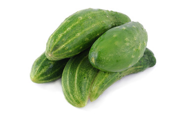 cucumber