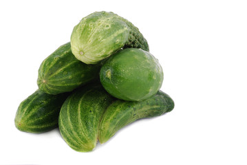 cucumber