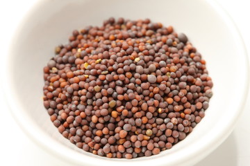 Brown Mustard