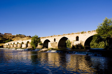 Fototapeta premium Roman bridge, Toro, Zamora Province, Castile and Leon, Spain